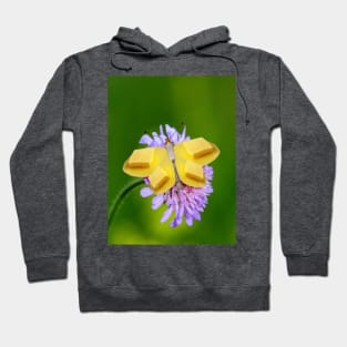 Butter Butterfly Hoodie